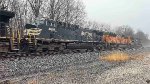 NS 4606